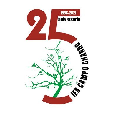 Logo IES_25 aniversario