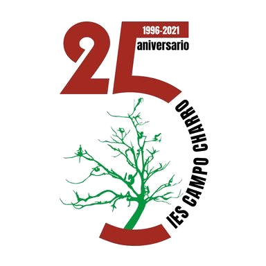 Logo IES_25 aniversario